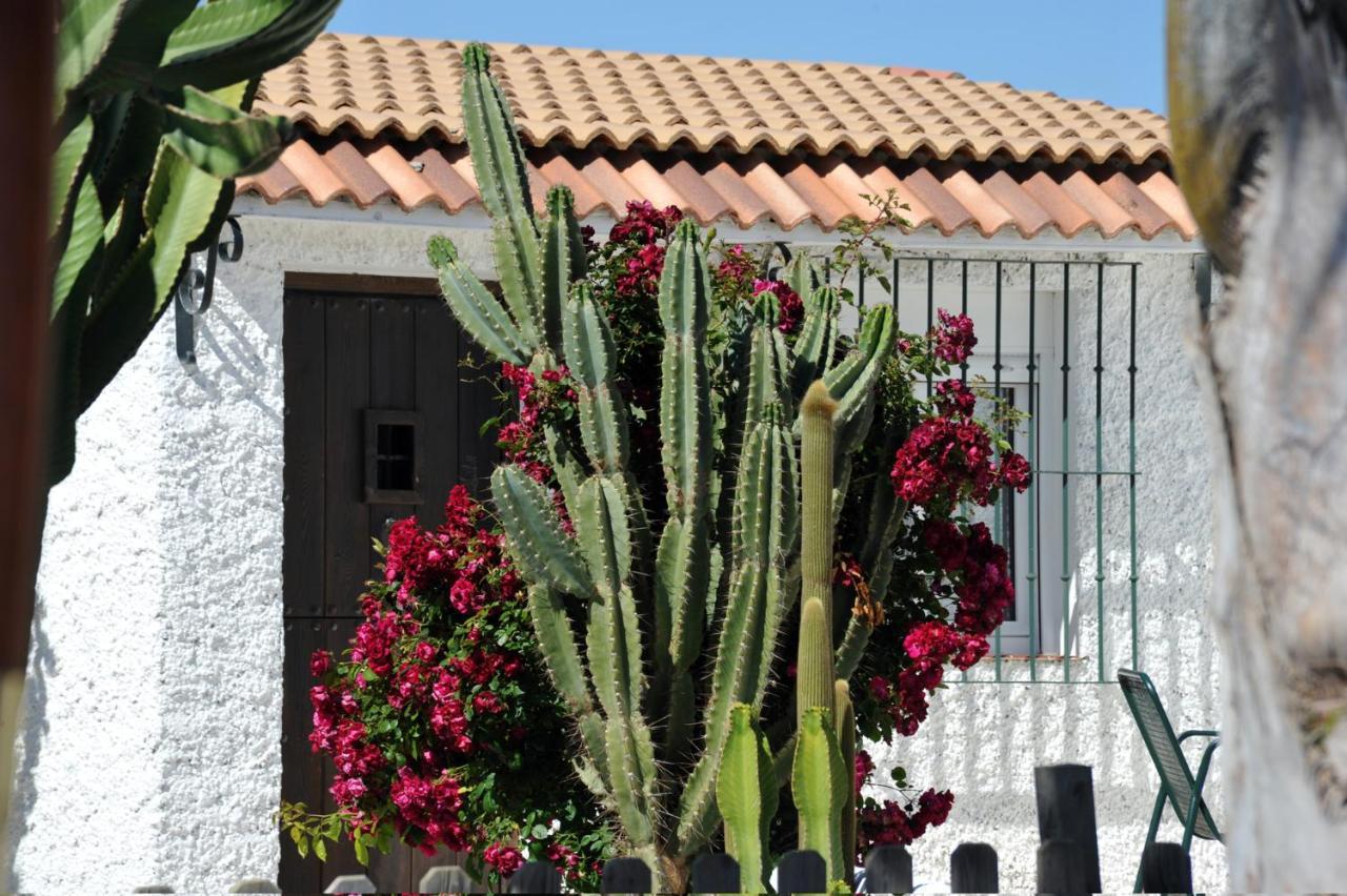 Ferienwohnung Cortijo Flamingos Chiclana de la Frontera Exterior foto
